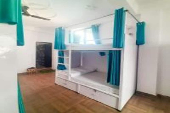 Imagen de la habitación del Hotel Orchid - Hostel. Foto 6