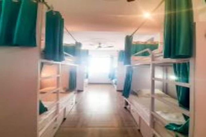 Imagen de la habitación del Hotel Orchid - Hostel. Foto 16