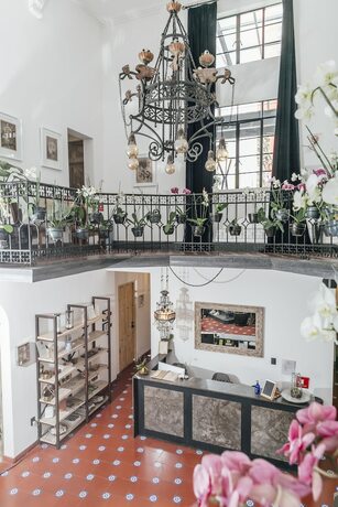 Imagen general del Hotel Orchid House Polanco. Foto 5