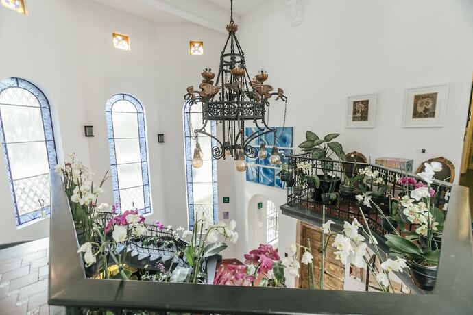 Imagen general del Hotel Orchid House Polanco. Foto 9