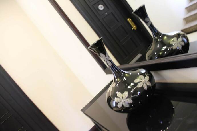 Imagen general del Hotel Orchid, Hue. Foto 9