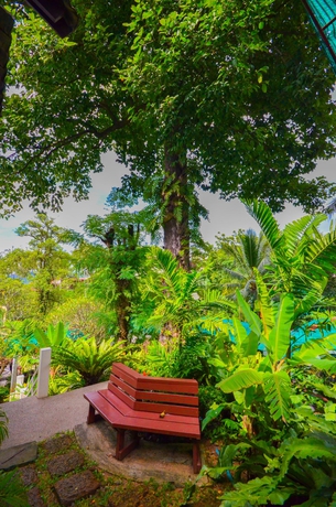 Imagen de los exteriores del Hotel Orchidacea Resort. Foto 12