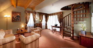 Imagen general del Hotel Orea Concertino - Zlat&aacute; Husa. Foto 1