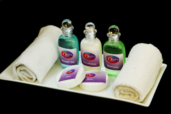 Imagen de la habitación del Hotel Oreeka. Foto 5