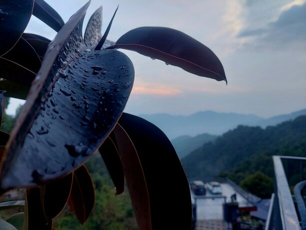 Imagen general del Hotel Oren Kasauli. Foto 8