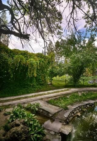 Imagen general del Hotel Organic Village Retreat. Foto 16