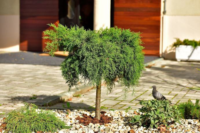 Imagen de los exteriores del Hotel Orient Zagreb. Foto 19