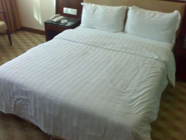 Imagen general del Hotel Oriental Pearl Hostel. Foto 5