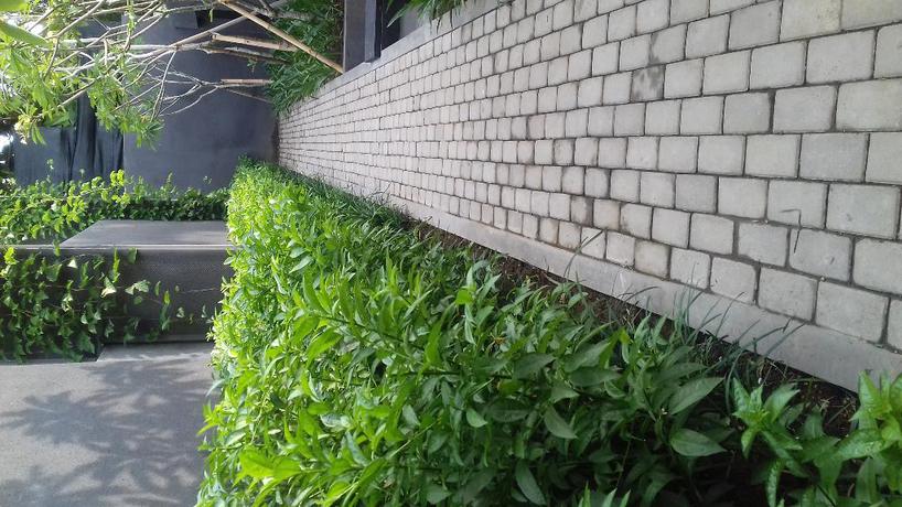 Imagen general del Hotel Origin Ubud. Foto 3