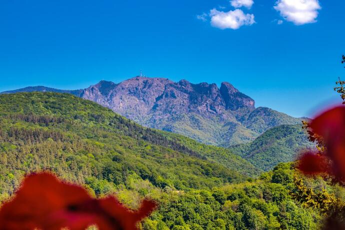 Imagen general del Hotel Orizont, Caciulata. Foto 13