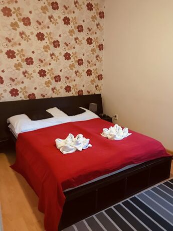 Imagen de la habitación del Hotel Orlan. Foto 5