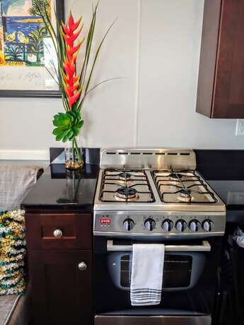 Imagen de la habitación del Hotel Orlando Lakefront Tiny House Community. Foto 19