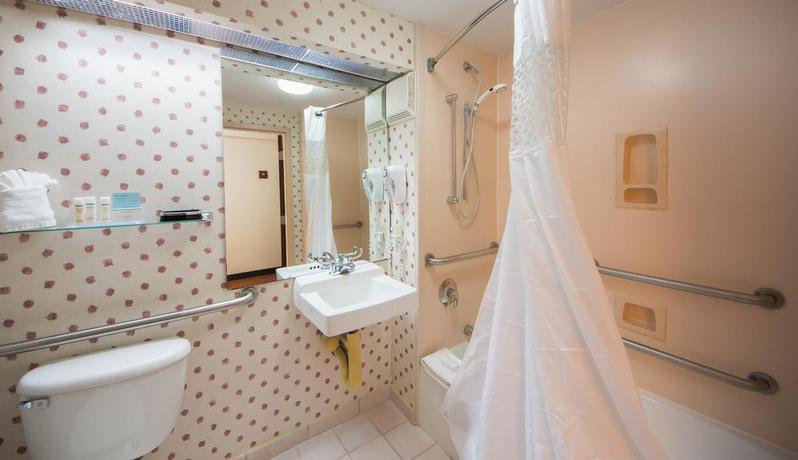 Imagen de la habitación del Hotel Orlando Palms. Foto 9