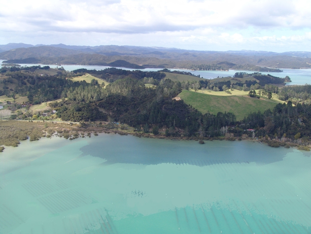 Imagen de los exteriores del Hotel Orongo Bay Homestead. Foto 7