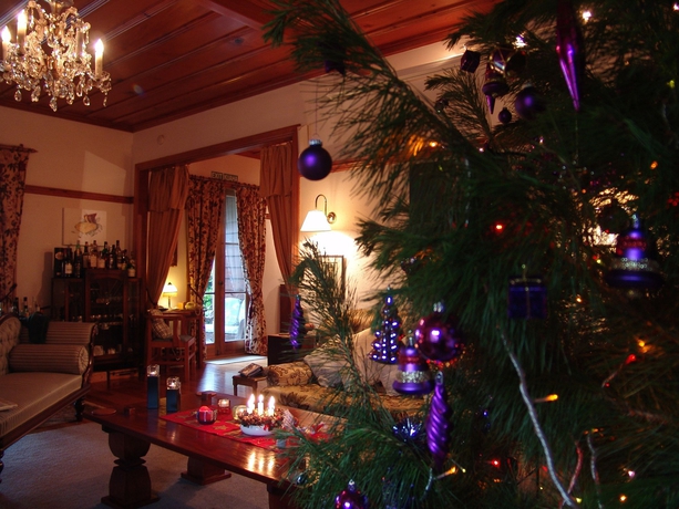 Imagen de los interiores del Hotel Orongo Bay Homestead. Foto 14