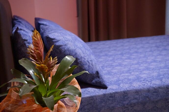 Imagen de la habitación del Hotel Orpheus, Atenas. Foto 8