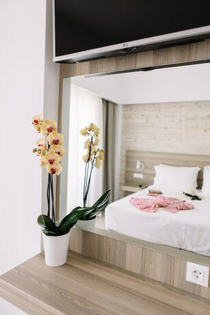 Imagen de la habitación del Hotel Orpheus Studios. Foto 20