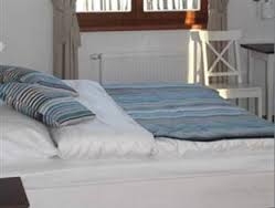 Imagen general del Hotel Orsino. Foto 2