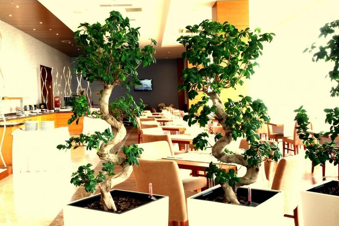 Imagen del bar/restaurante del Hotel Orucoglu Oreko. Foto 14