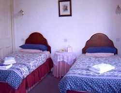 Imagen general del Hotel Orwell Lodge. Foto 2