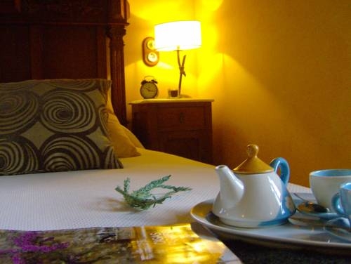 Imagen de los interiores del Hotel Os Tres Teixos. Foto 8