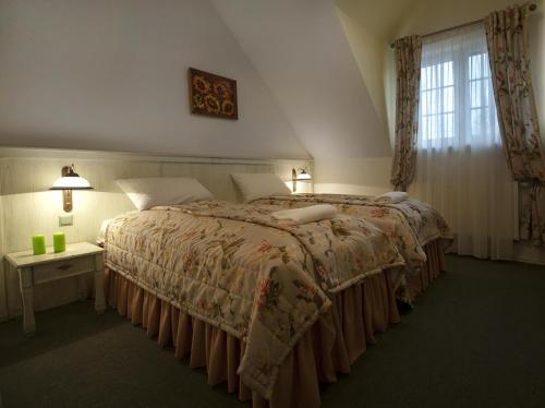 Imagen de la habitación del Hotel Osada Dank&oacute;w. Foto 9
