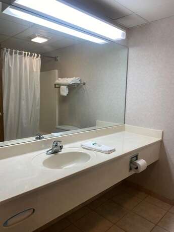 Imagen de la habitación del Hotel Osage Village Inn. Foto 20