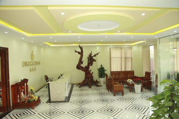 Imagen general del Hotel Osaka. Foto 13