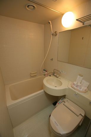 Imagen de la habitación del Hotel Osaka Garden Palace. Foto 8