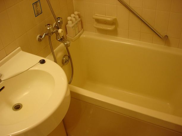 Imagen de la habitación del Hotel Osaka Garden Palace. Foto 11