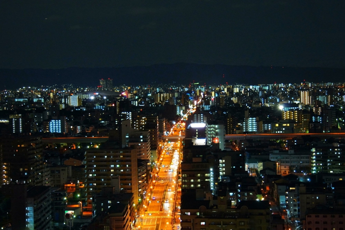 Imagen general del Hotel Osaka Joytel. Foto 4