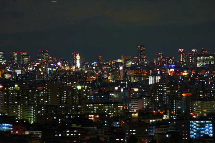 Imagen general del Hotel Osaka Joytel. Foto 6