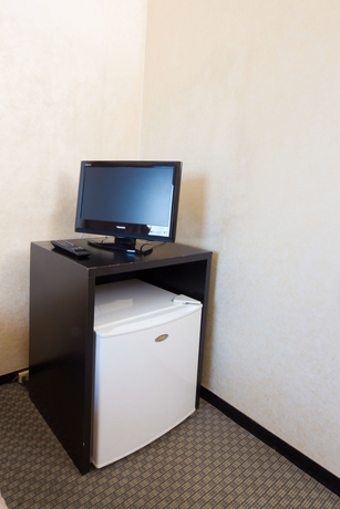 Imagen de la habitación del Hotel Osaka Riverside. Foto 4