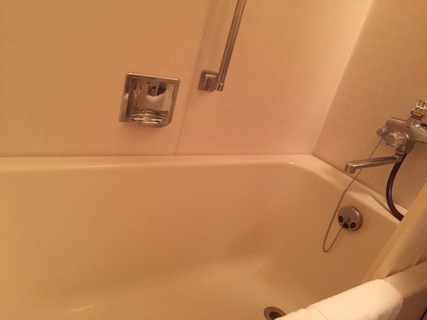 Imagen de la habitación del Hotel Osaka Riverside. Foto 11