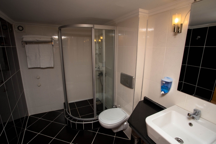 Imagen de la habitación del Hotel Oscar Garden. Foto 15