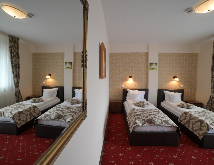 Imagen general del Hotel Oscar, Piatra Neamt. Foto 4