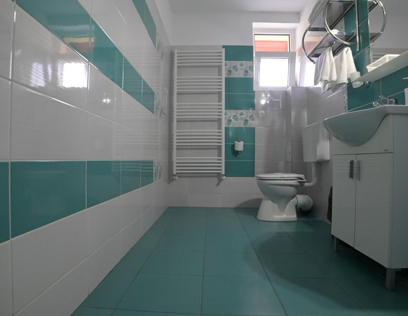 Imagen general del Hotel Oscar, Piatra Neamt. Foto 22
