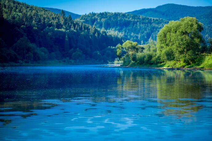 Imagen general del Hotel Osonnya Karpaty. Foto 124