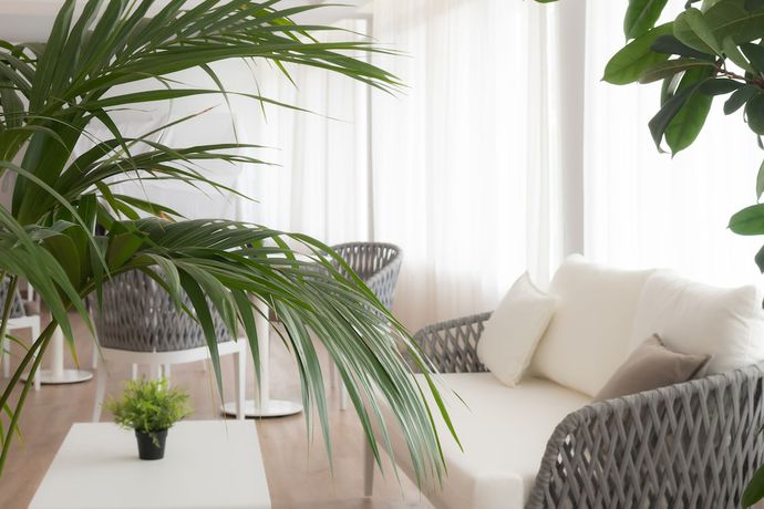 Imagen de los interiores del Hotel Osprey Menorca. Foto 19