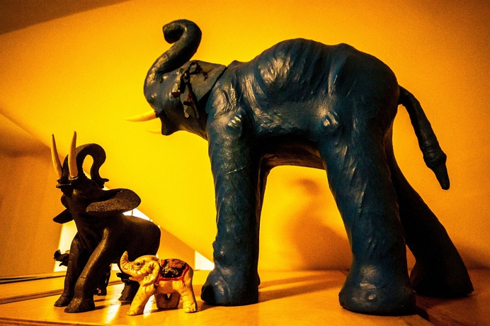 Imagen de los interiores del Hotel Ostello Degli Elefanti. Foto 12