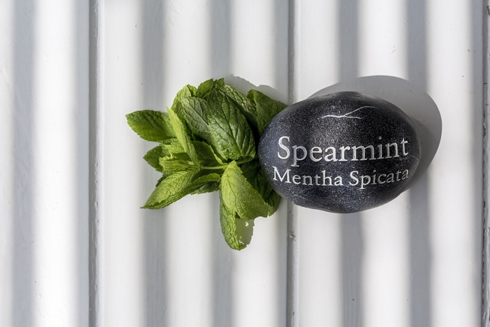 Imagen de los interiores del Hotel Ostraco Suites. Foto 8