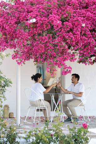 Imagen de la habitación del Hotel Ostria Inn. Foto 4