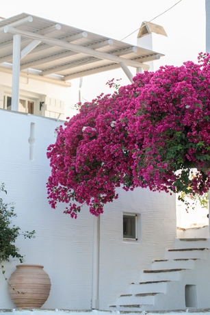 Imagen de los interiores del Hotel Ostria Inn. Foto 17