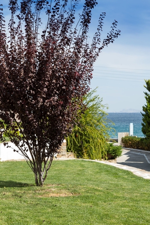 Imagen de la habitación del Hotel Ostria Inn. Foto 5