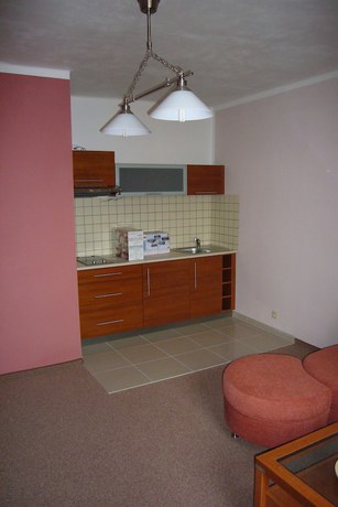 Imagen de la habitación del Hotel Ostrov Garni. Foto 3