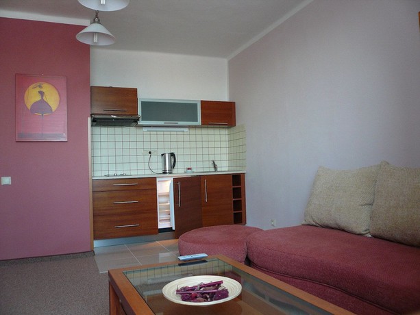 Imagen de la habitación del Hotel Ostrov Garni. Foto 11