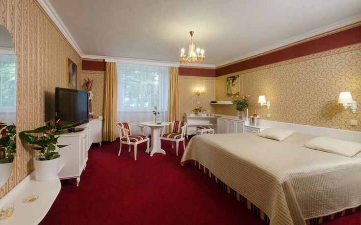 Imagen de la habitación del Hotel Ostrov, Nymburk. Foto 8