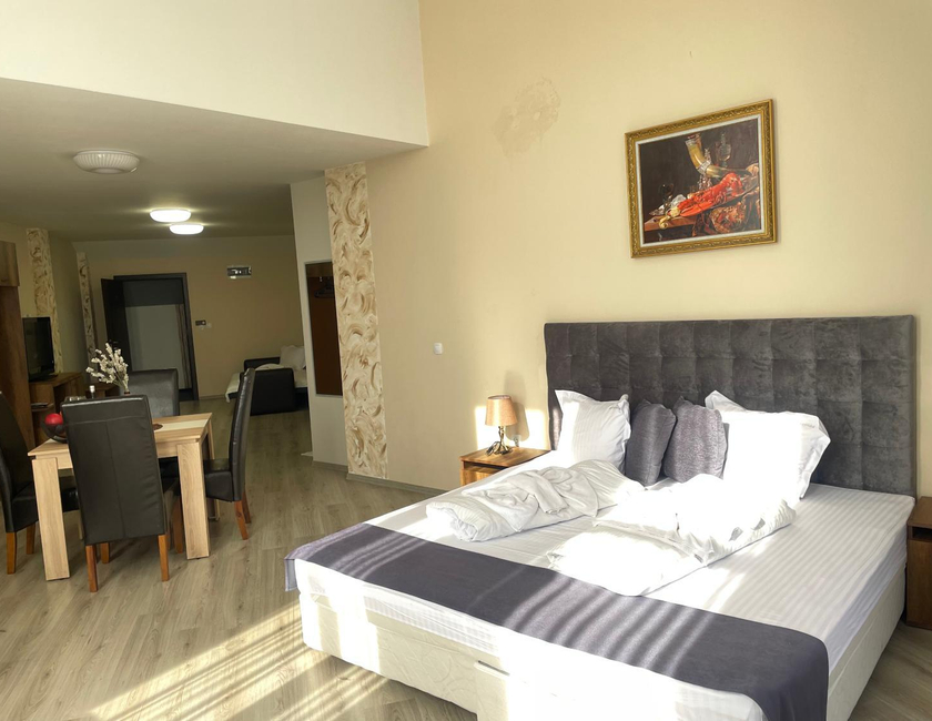 Imagen general del Hotel Ostrova. Foto 13