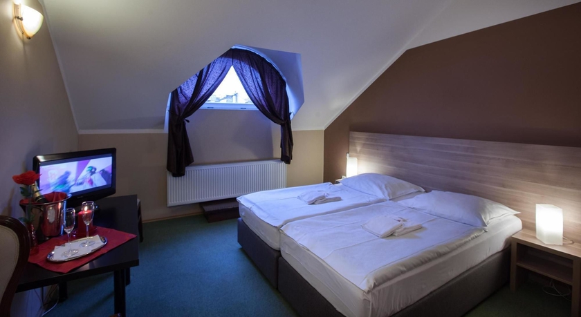 Imagen de la habitación del Hotel Otakar. Foto 11