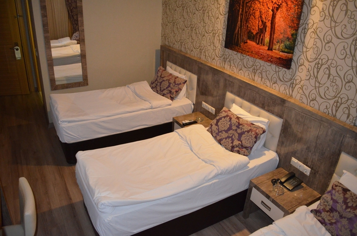 Imagen de la habitación del Hotel Otel Le Grand. Foto 14
